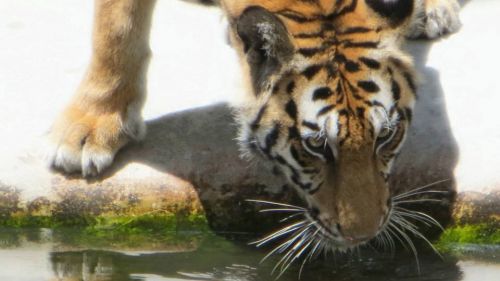 293006 491292514275931 1932656381 N