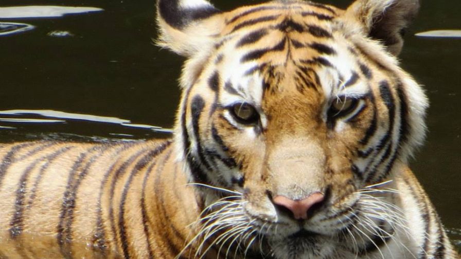 417811 491292547609261 111901799 N