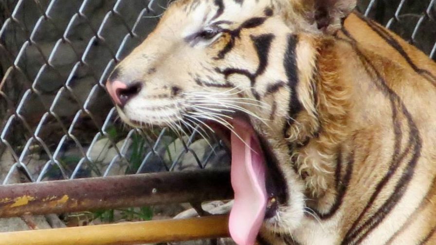 575422 491292400942609 738121947 N