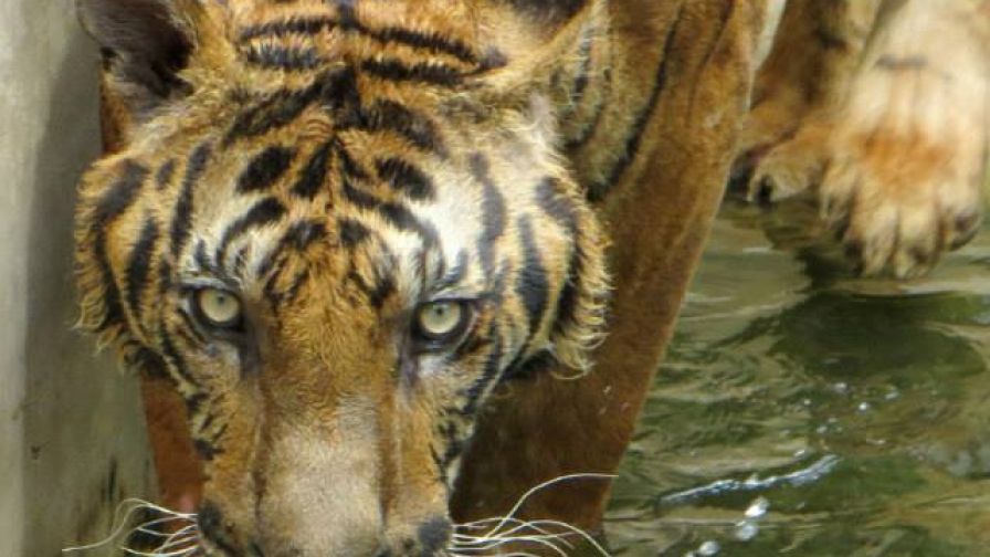 65619 491292397609276 1231121991 N