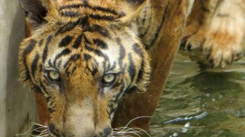 65619 491292397609276 1231121991 N