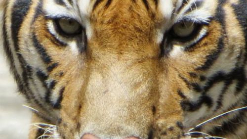 946810 491292540942595 1476670088 N