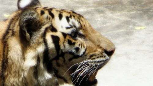 946977 491292460942603 68478806 N