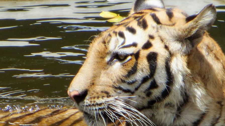 954709 491292570942592 136641268 N