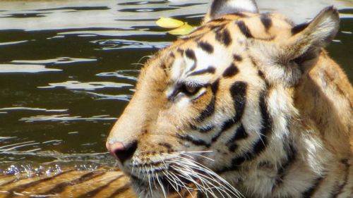 954709 491292570942592 136641268 N