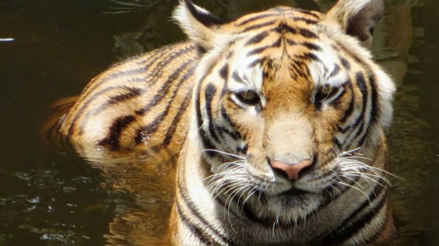 970996 491292500942599 1722229639 N