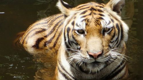 970996 491292500942599 1722229639 N