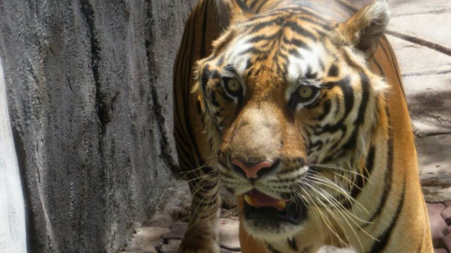 984168 491292447609271 954787825 N