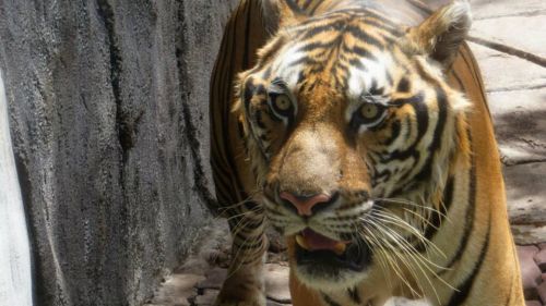 984168 491292447609271 954787825 N