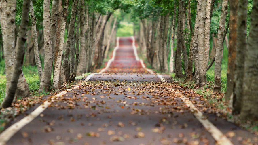 HD Wallpaper Mix 370 (102)