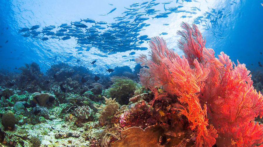 HD Wallpaper Mix 370 (110)