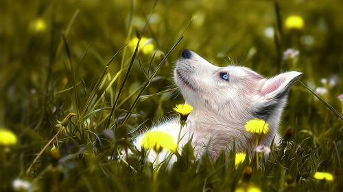 HD Wallpaper Mix 370 (122)