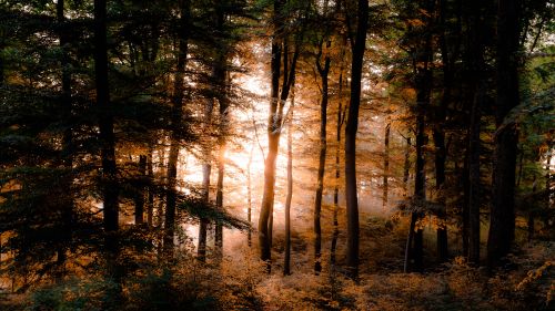 HD Wallpaper Mix 370 (140)