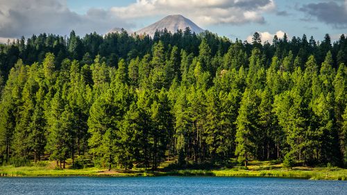 HD Wallpaper Mix 370 (147)