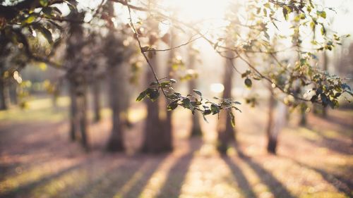 HD Wallpaper Mix 370 (159)