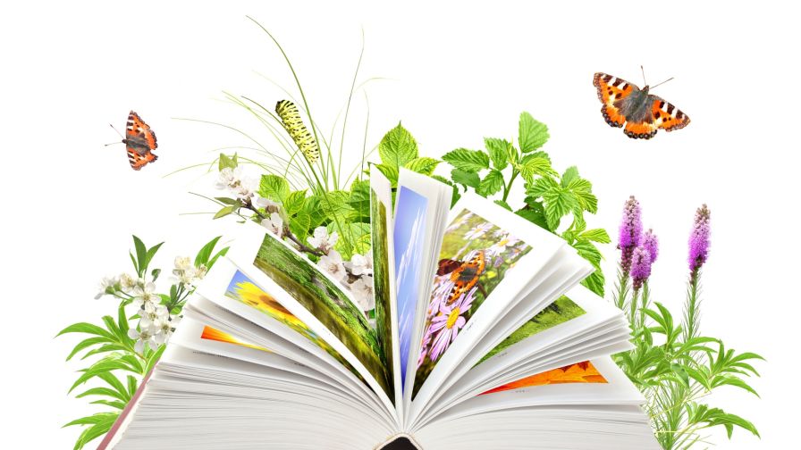 HD Wallpaper Mix 370 (160)