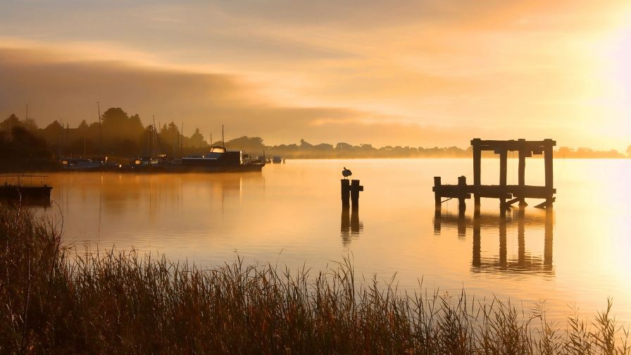 HD Wallpaper Mix 370 (186)