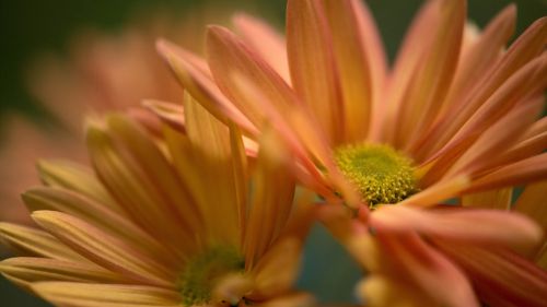 HD Wallpaper Mix 370 (22)