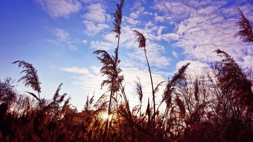 HD Wallpaper Mix 370 (229)