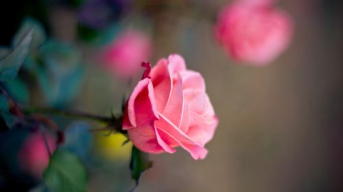 HD Wallpaper Mix 370 (31)