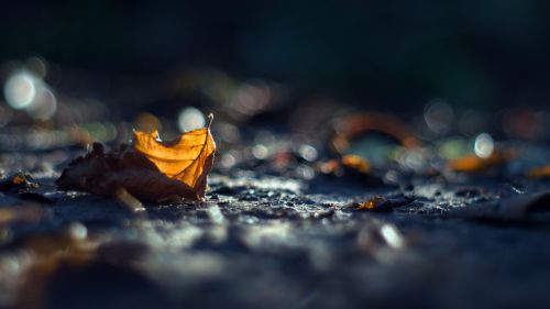 HD Wallpaper Mix 370 (34)