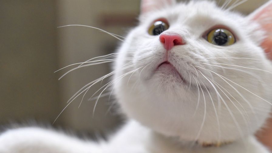 HD Wallpaper Mix 370 (37)