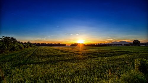 HD Wallpaper Mix 370 (51)