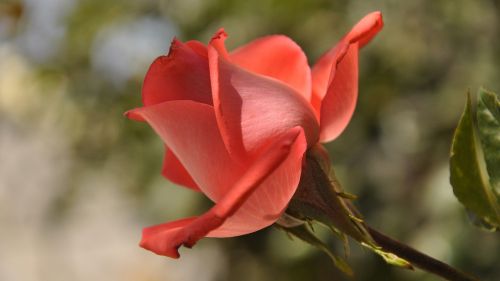 HD Wallpaper Mix 370 (58)