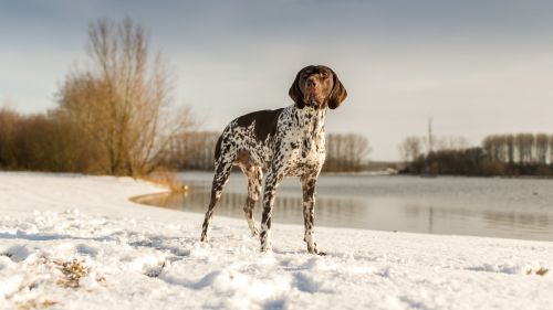 HD Wallpaper Mix 370 (93)