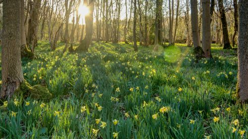 HD Wallpaper Mix 370 (95)